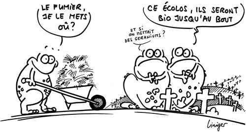 Le crapaud - Jérôme Liniger - mourir vert