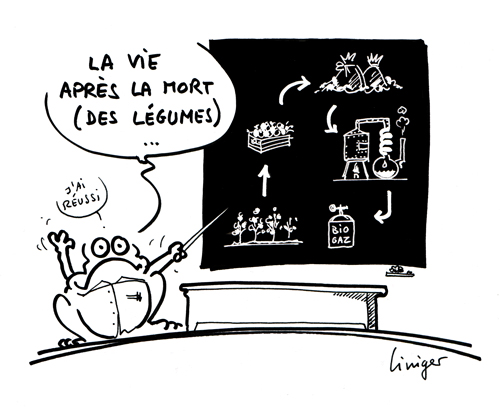 Le crapaud - Jérôme Liniger - Transformation des légumes en méthanol