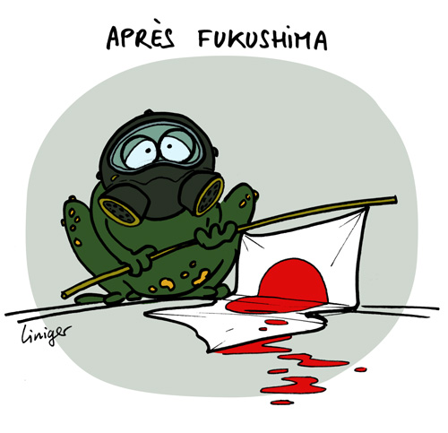 Le crapaud - Jérôme Liniger - après Fukushima, le quotidien des japonais
