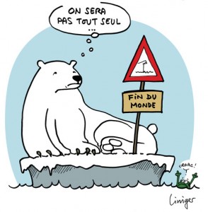 Les ours polaires à la dérive - Liniger et Fiess